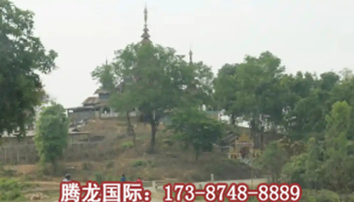 d01373f082025aaf563b584380c4db6b024f1ae1.webp_副本.jpg